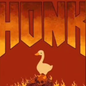 Meet your Posher, Jasper